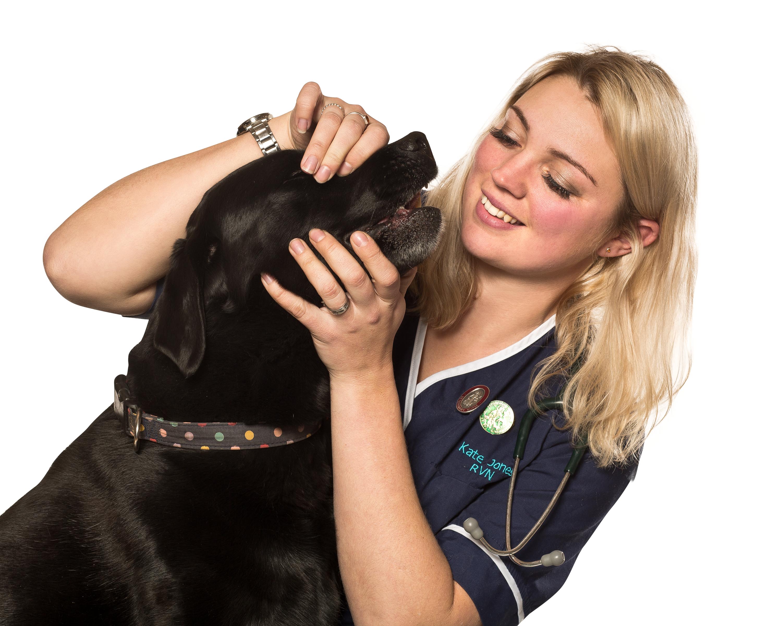 how-to-become-a-veterinary-assistant-the-academy-of-pet-careers